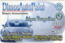 vwclub-sponsors-pansun2008a-athina-dimos.jpg