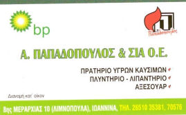 vwclub-sponsors-pansun2008a-ioannina-papadopoulos.jpg