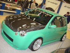 LUPO BLACK GREEN