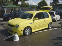 LUPO YELLOW