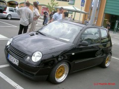 LUPO GOLD BBS