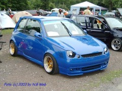LUPO BLUE GOLD