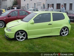 VW Polo_zielony_bok.jpg