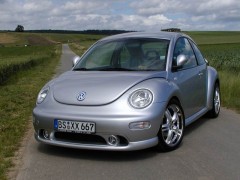 BEETLE SILBER