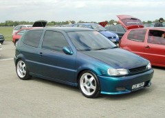 POLO 6N BI COLOR