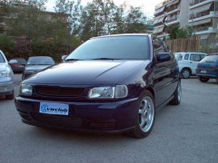 POLO  01.jpg
