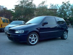 POLO  03.jpg
