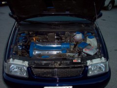 POLO  05.jpg