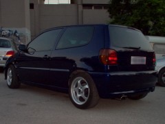 POLO  04.jpg