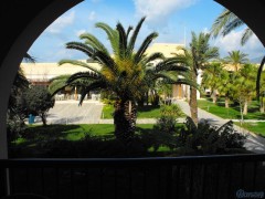 DSCF0584.JPG
