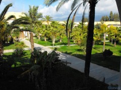 DSCF0587.JPG