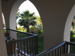 DSCF0585.JPG