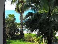DSCF0588.JPG