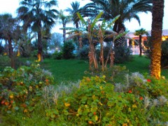 DSCF0645.JPG