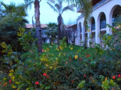 DSCF0647.JPG